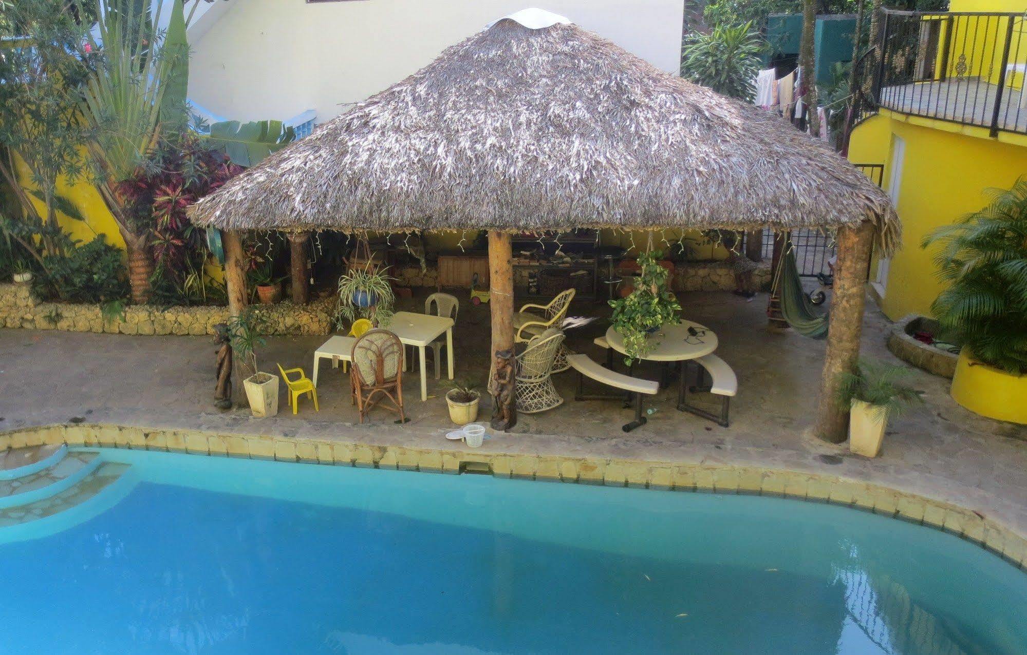 Coco 3*