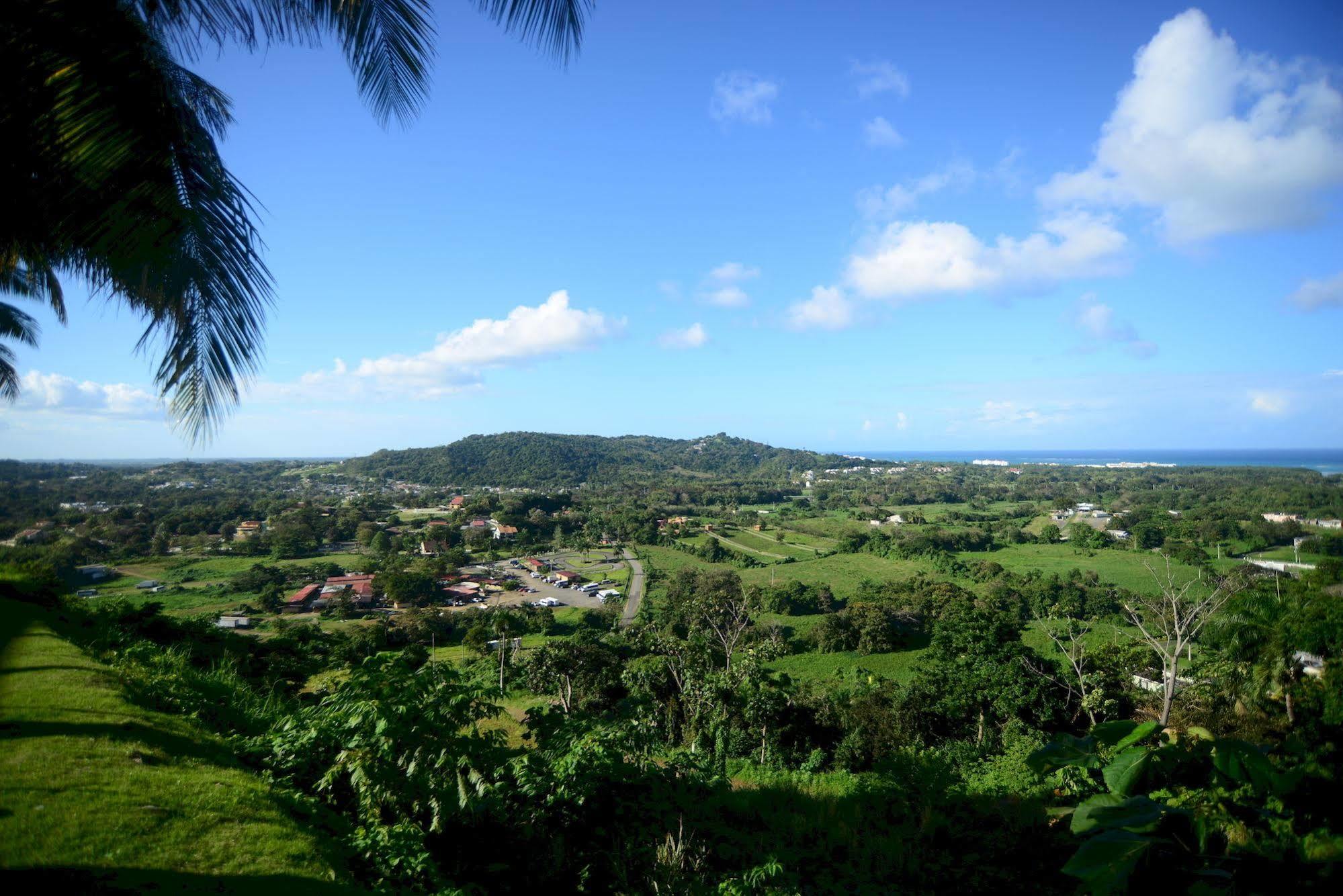 Hotel Rainforest & Ocean View At Carabali 3*