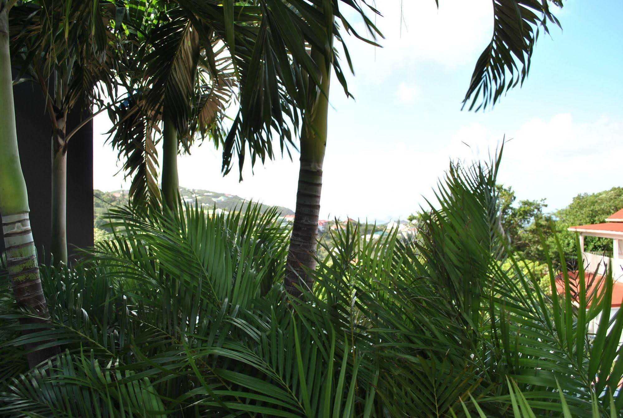 Aparthotel Reve De St. Barth Gustavia