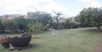 Airport 3* Ducos