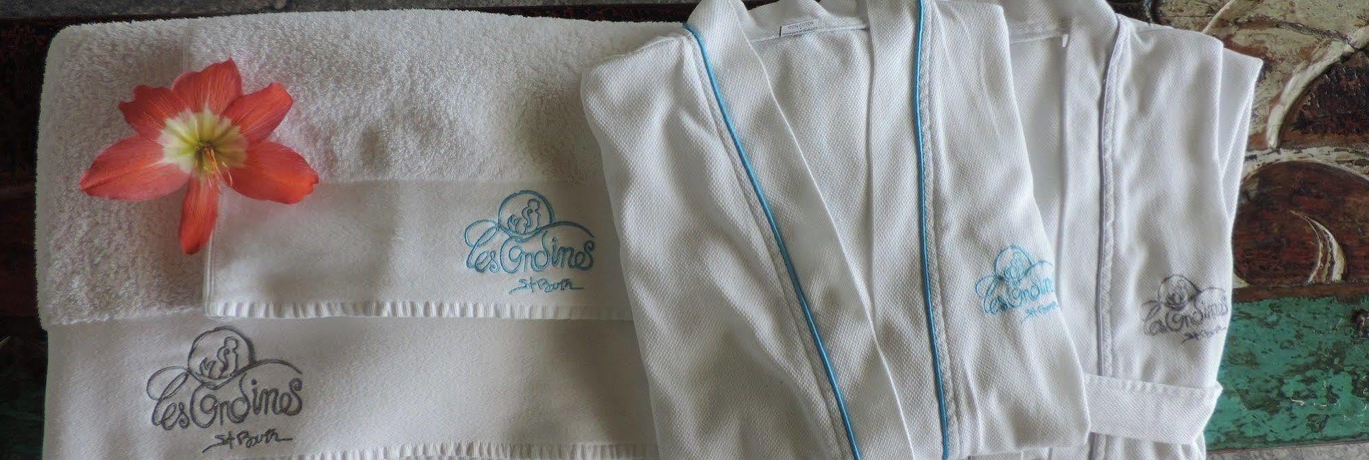 Les Ondines Sur La Hotel Gustavia