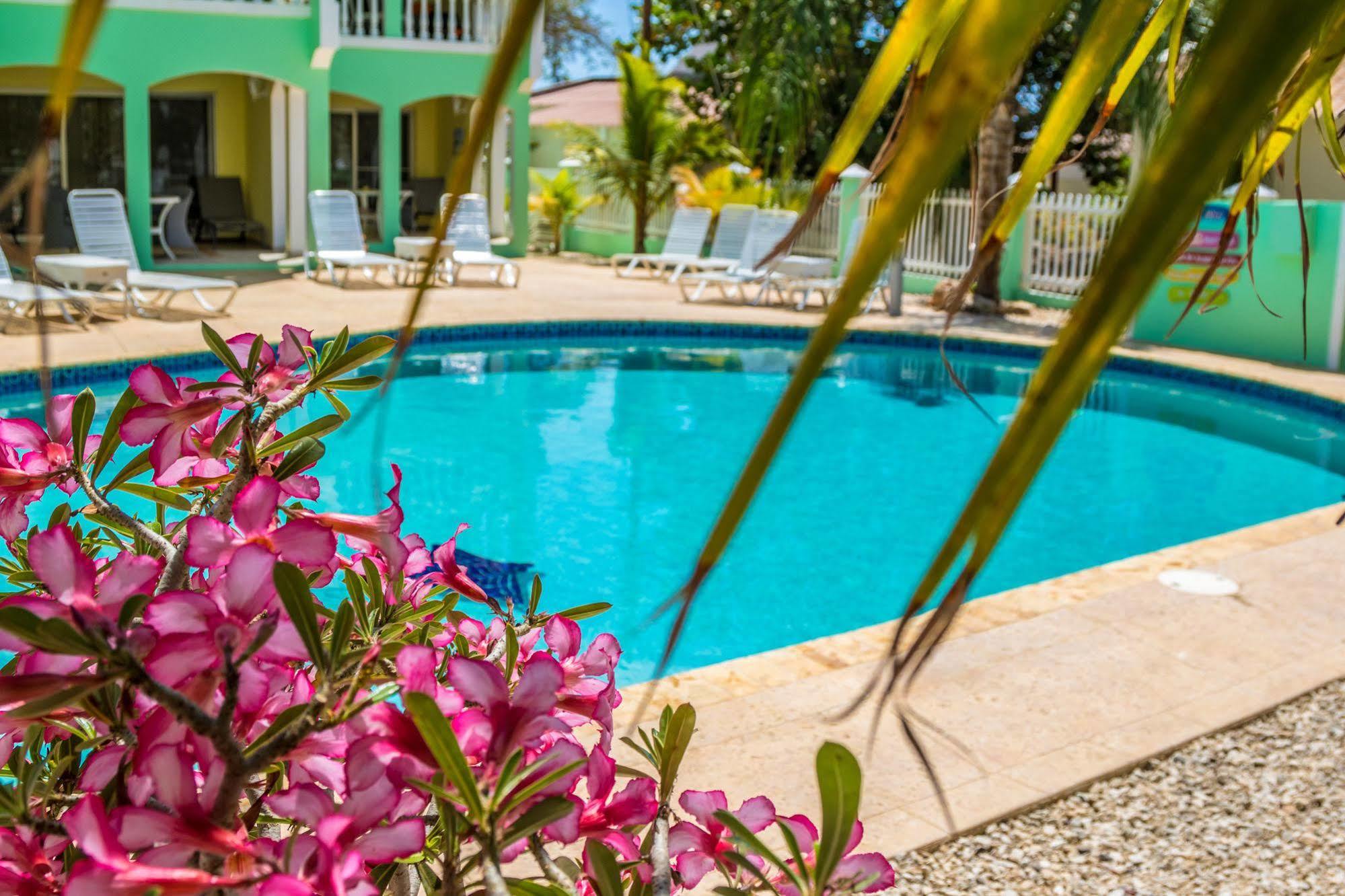 Hotel Coral Paradise 4*