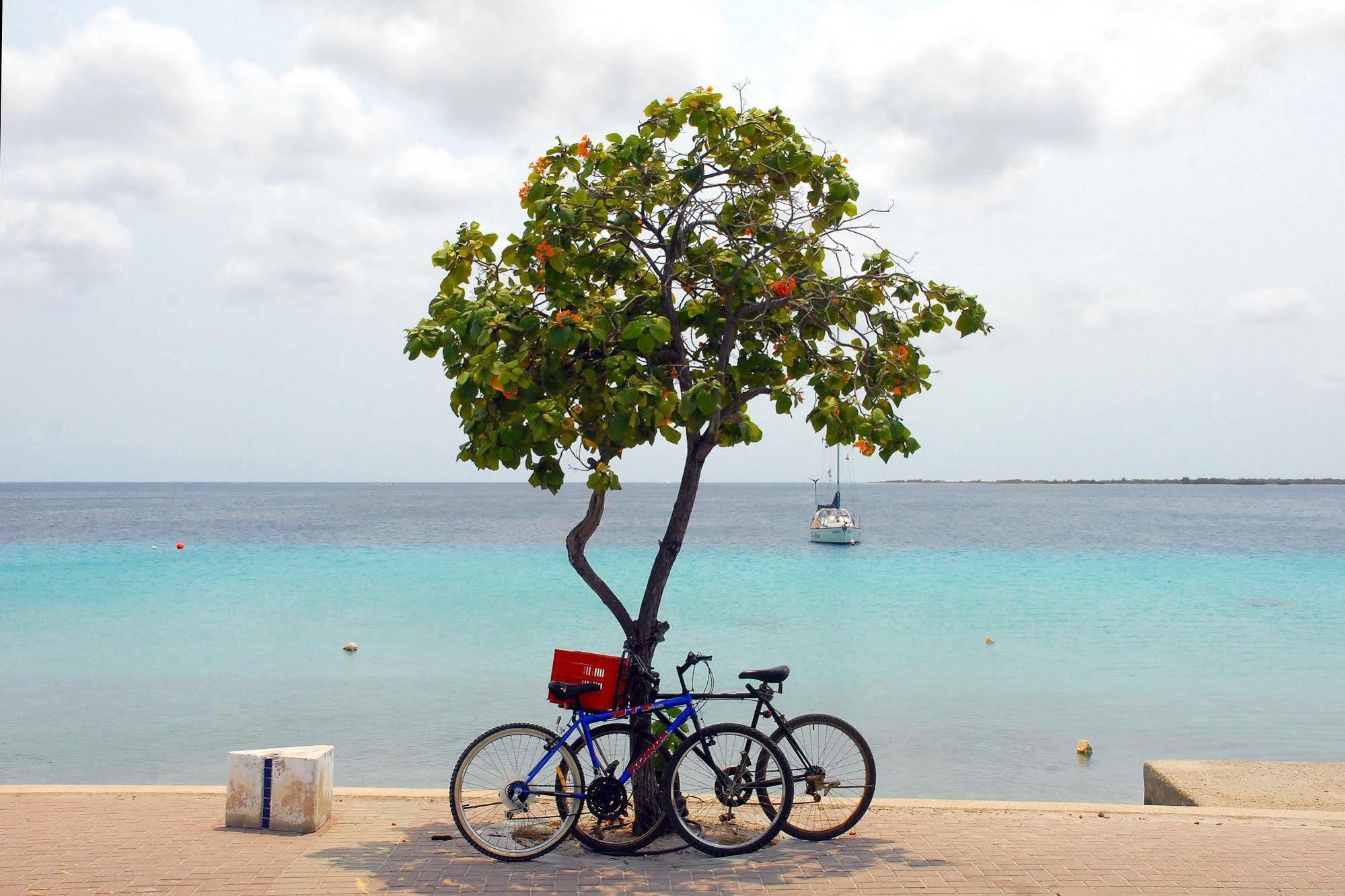 City Bonaire *