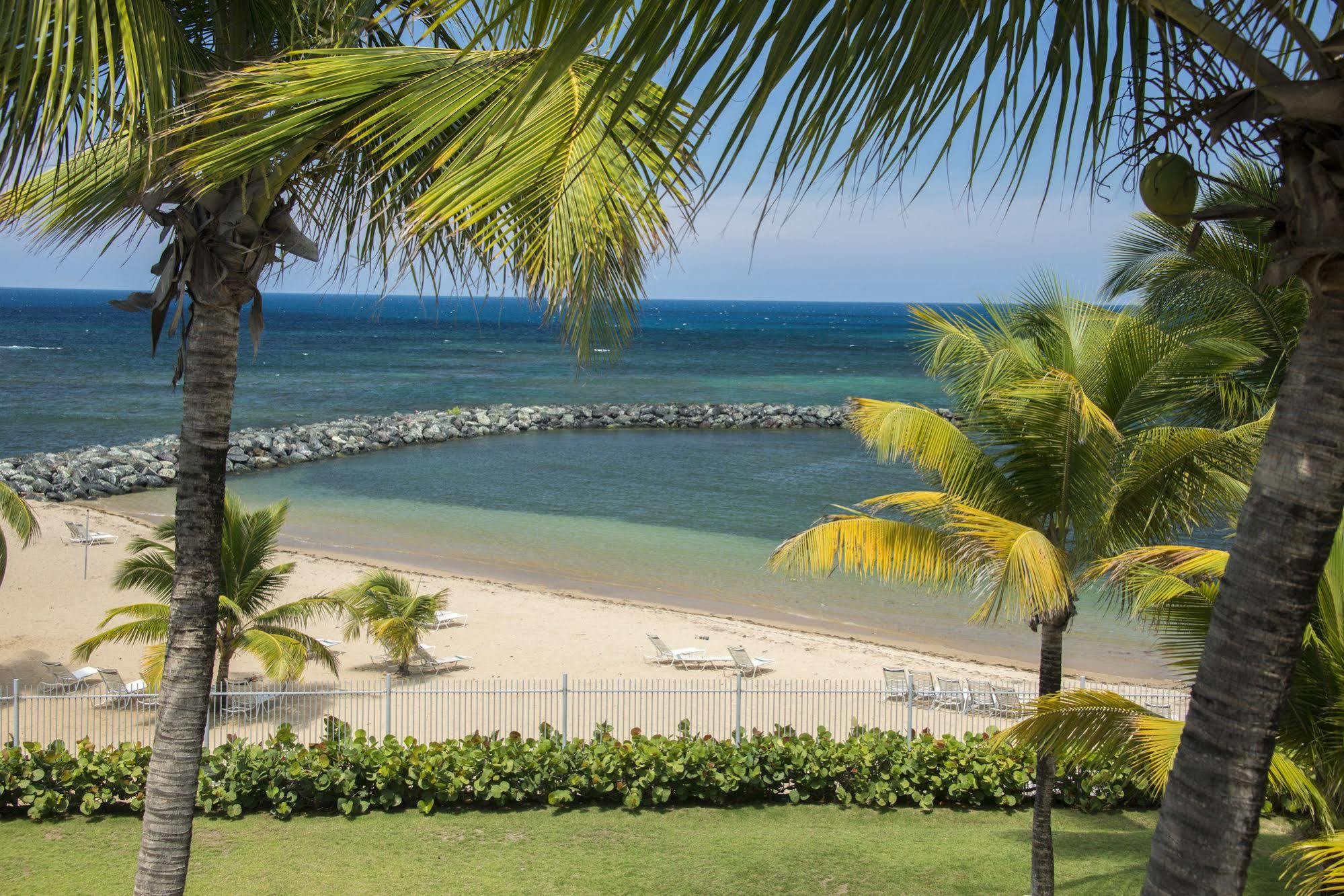 Aquarius Vacation Club At Del Mar Hotel Dorado