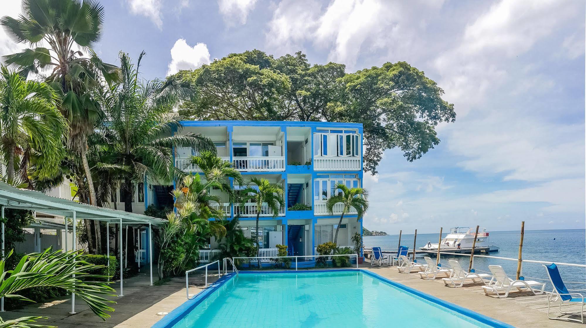 Anchorage Hotel, Whale Watch & Dive Center Guest house