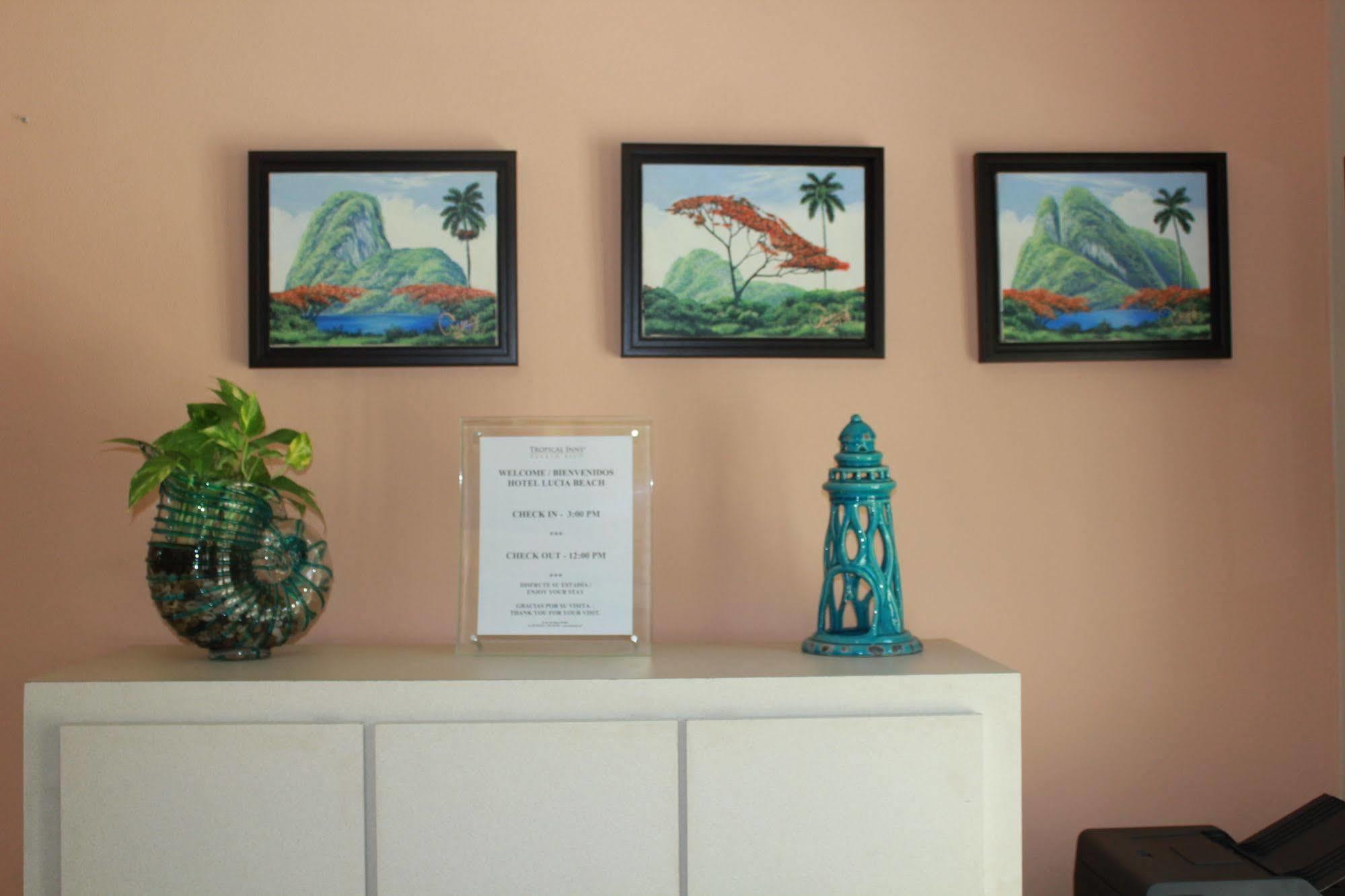 Palmas De Lucia Yabucoa