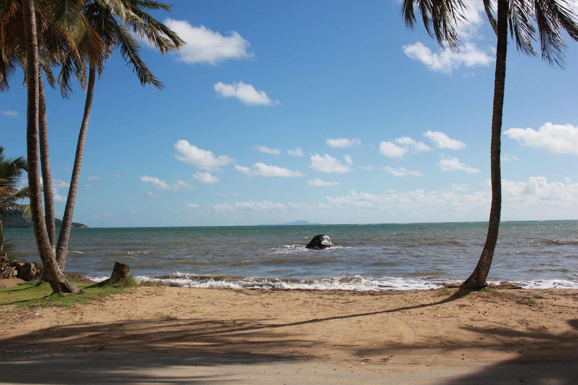 Palmas De Lucia