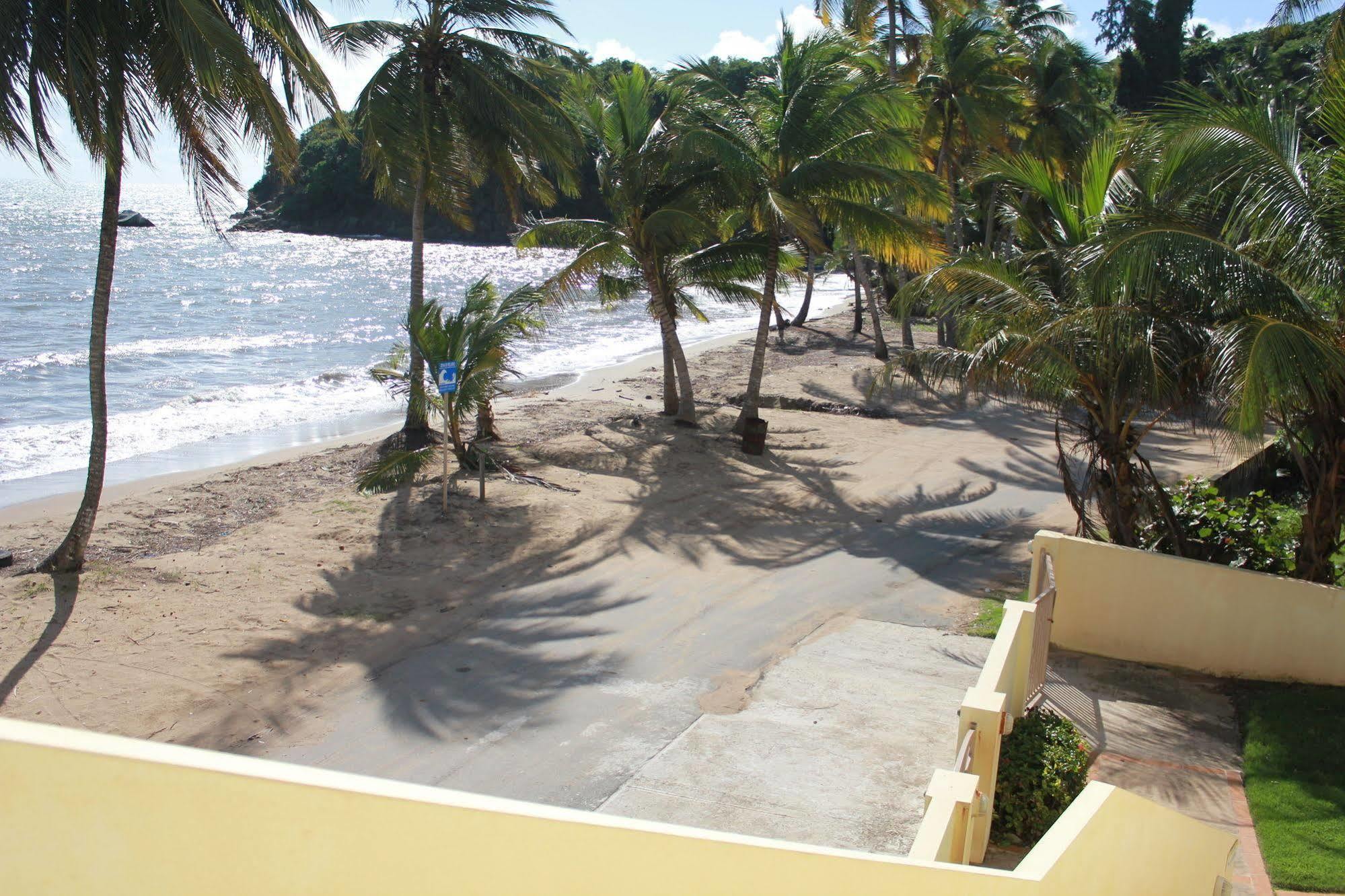 Palmas De Lucia