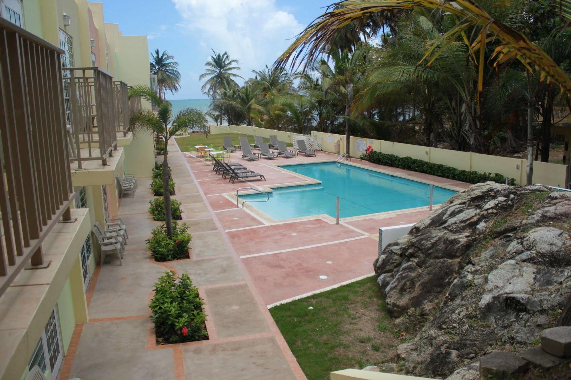 Palmas De Lucia