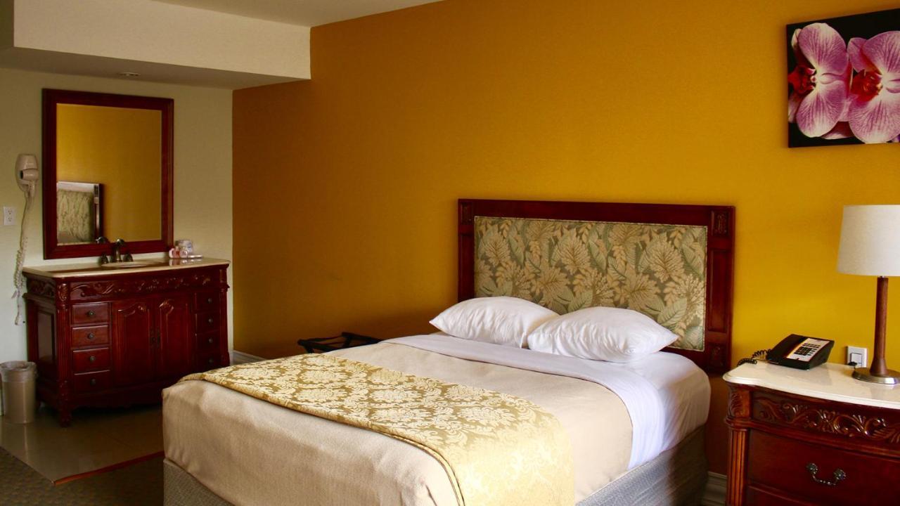 On Vacation Curacao