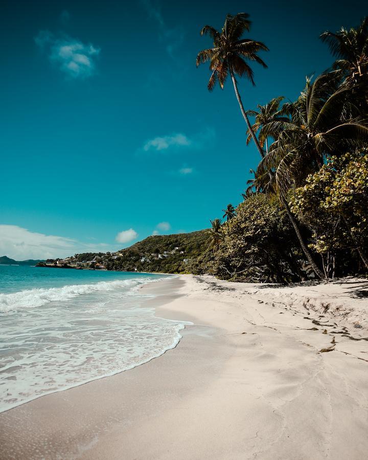 Hotel Bequia - Luxury Boutique