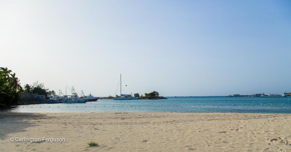Apartamento Turtle Towers Ocho Rios