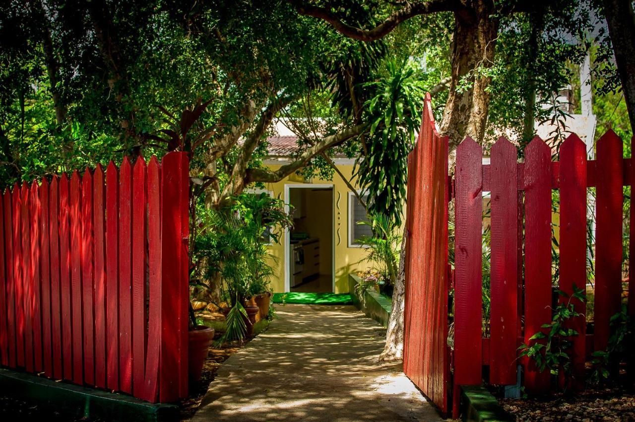 Beyond Sunset & Bed & Breakfast Treasure Beach