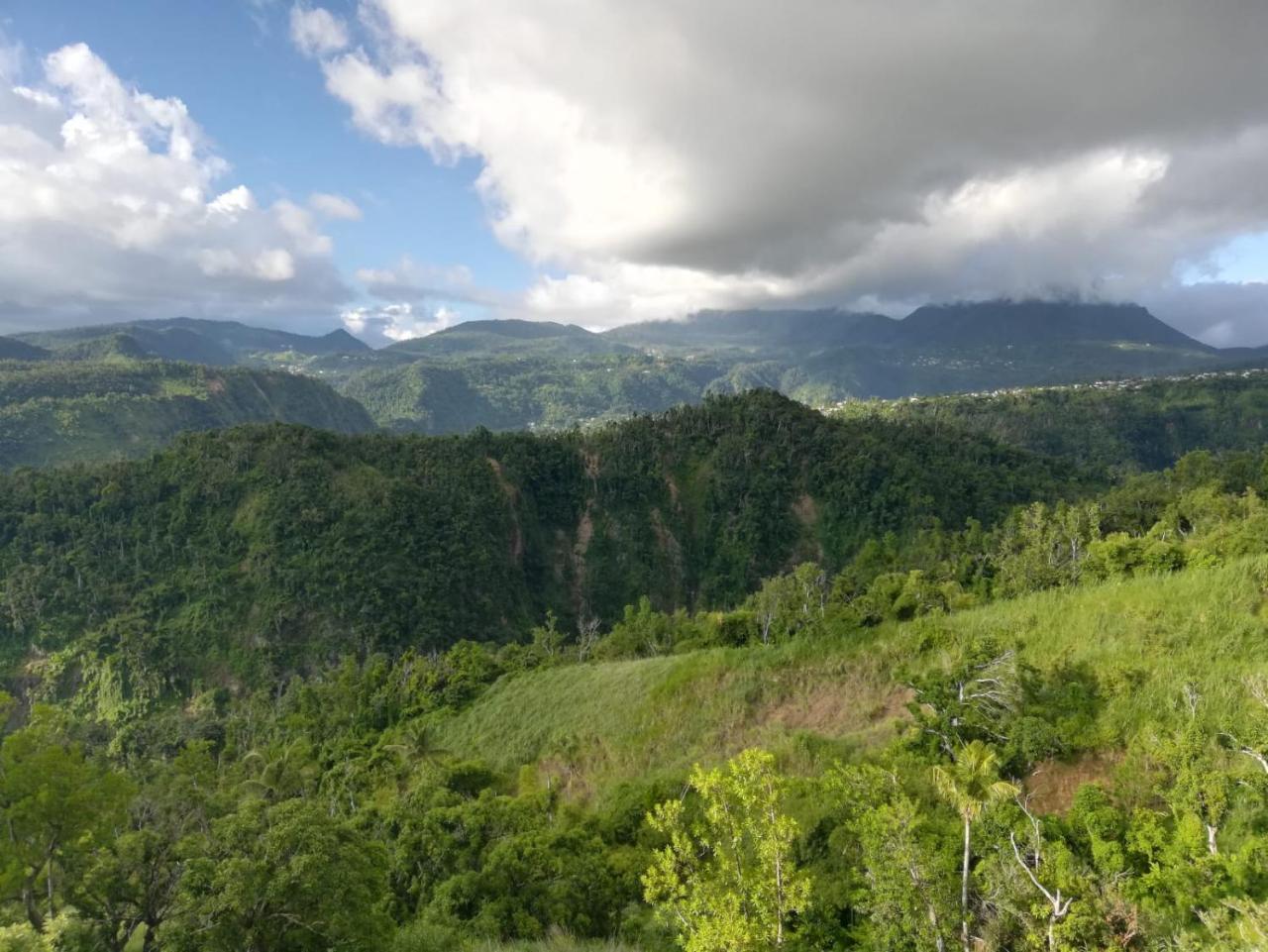 Matthew's Miracle View