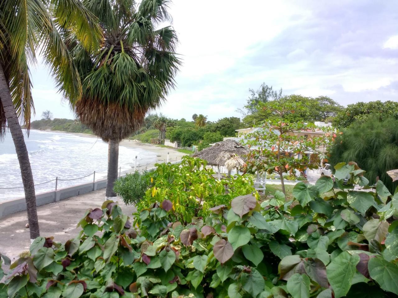 Casa de hóspedes Golden Sands Treasure Beach