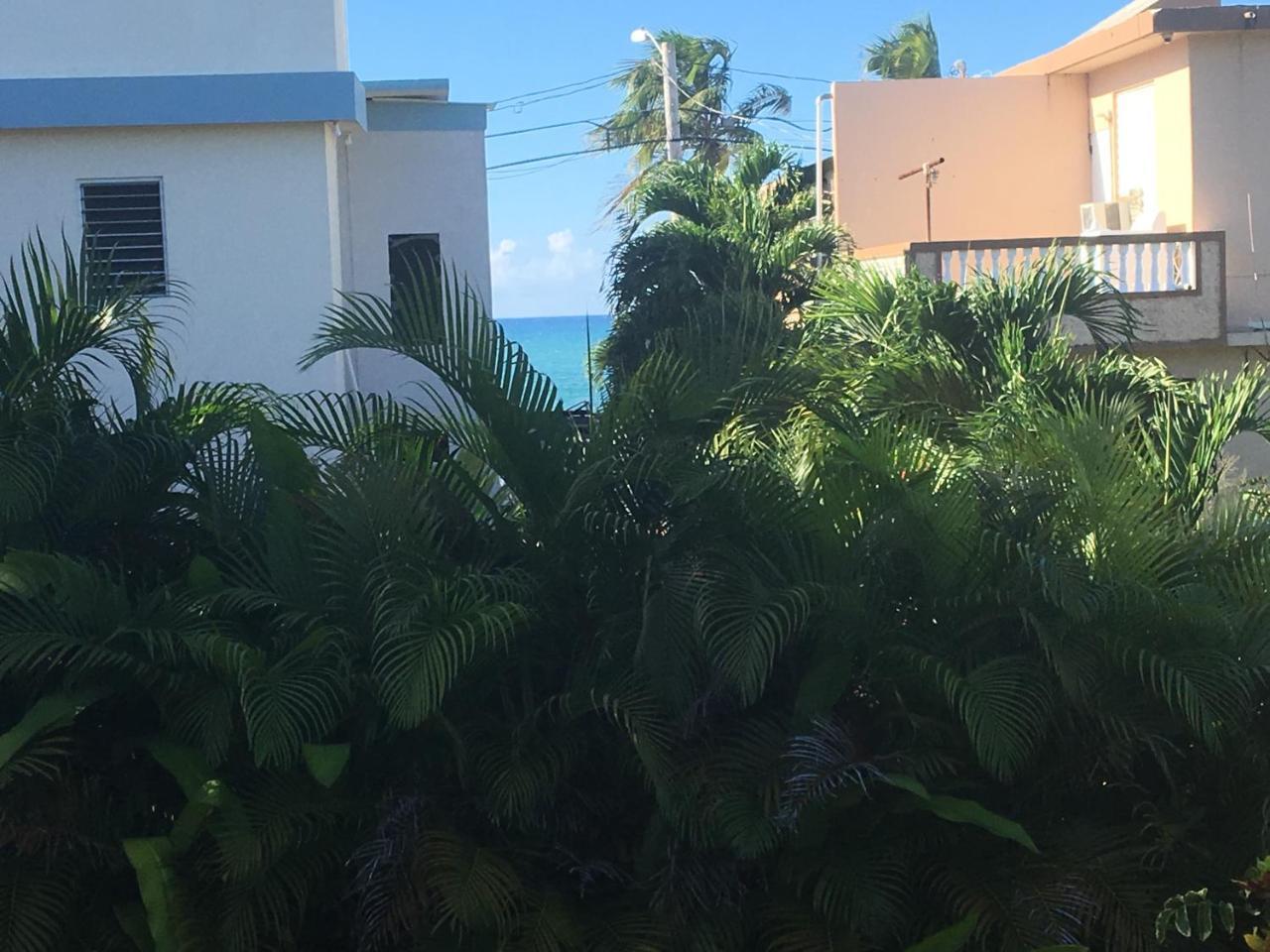 Casa Peace Haven House * Aguada