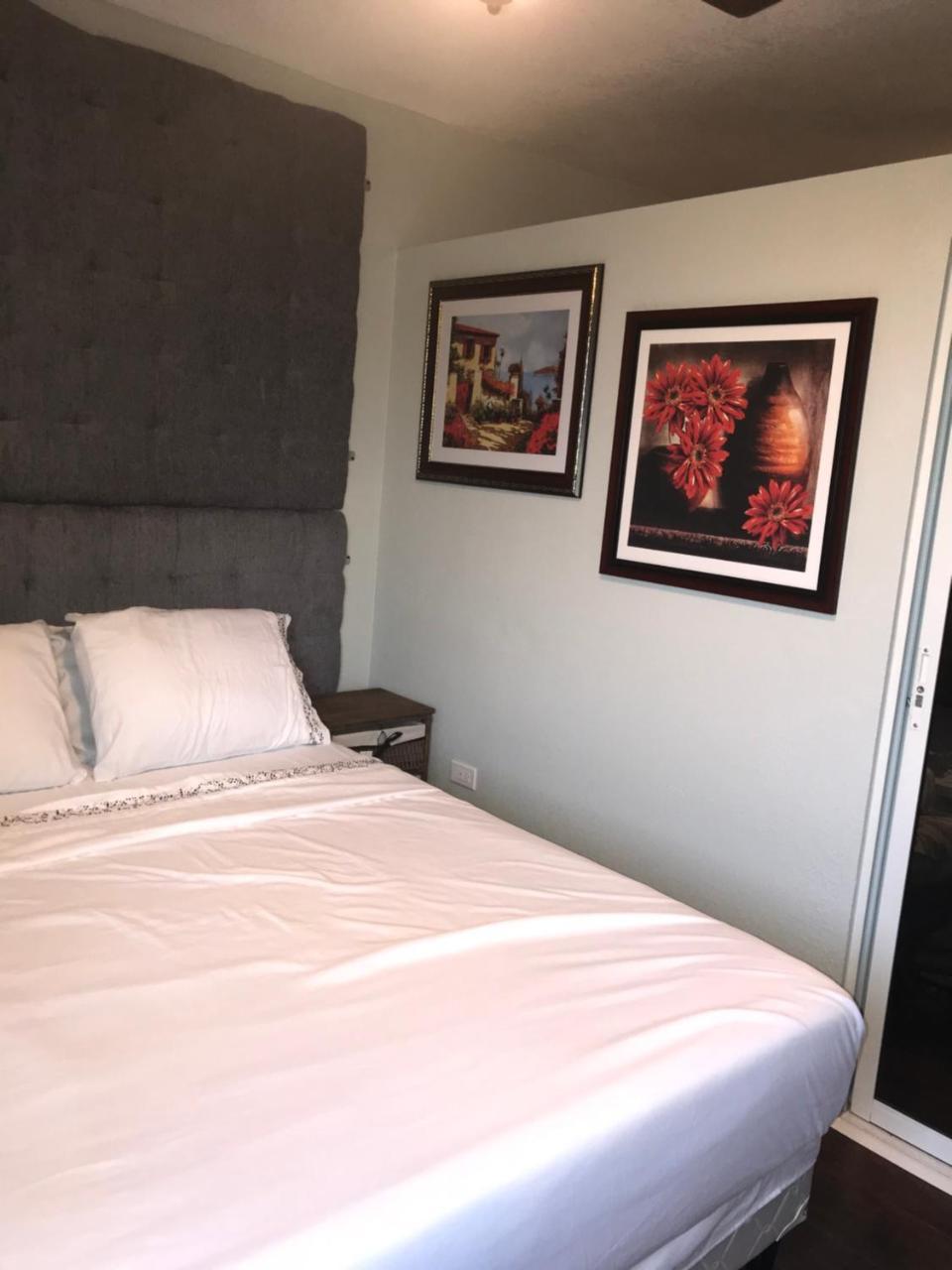 Abacus Jamaica The Zana Apartment