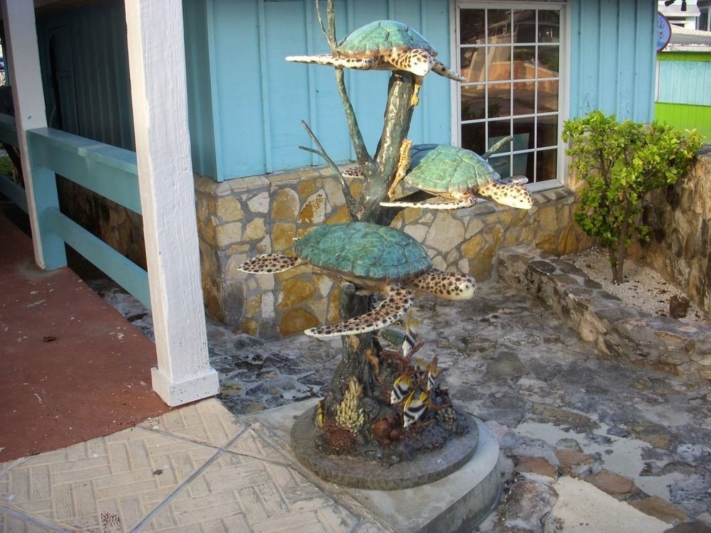 Two Turtles George Town