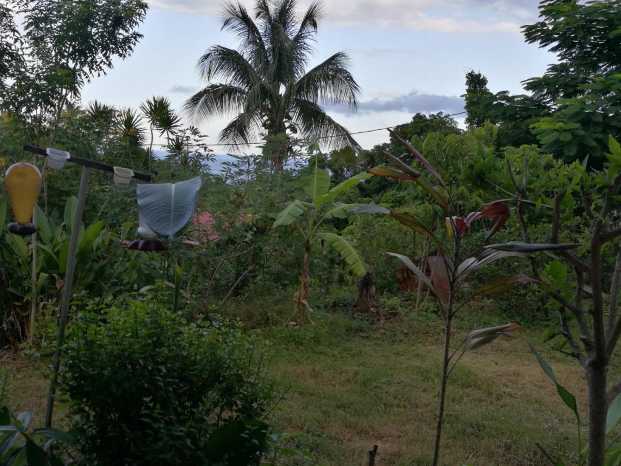 Gwada Paradise Holiday home *