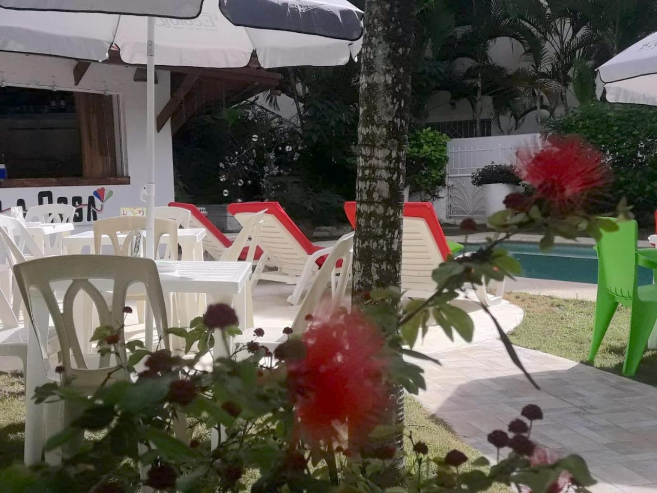 Rosa Dominicus 3* San Rafael del Yuma