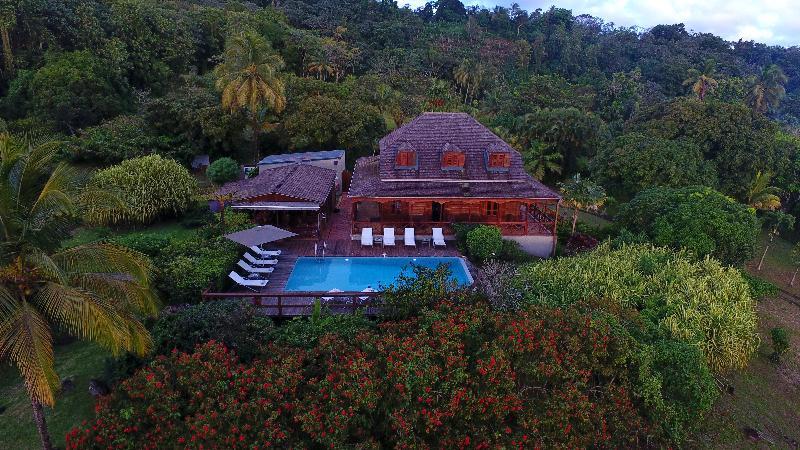 Jardin Malanga