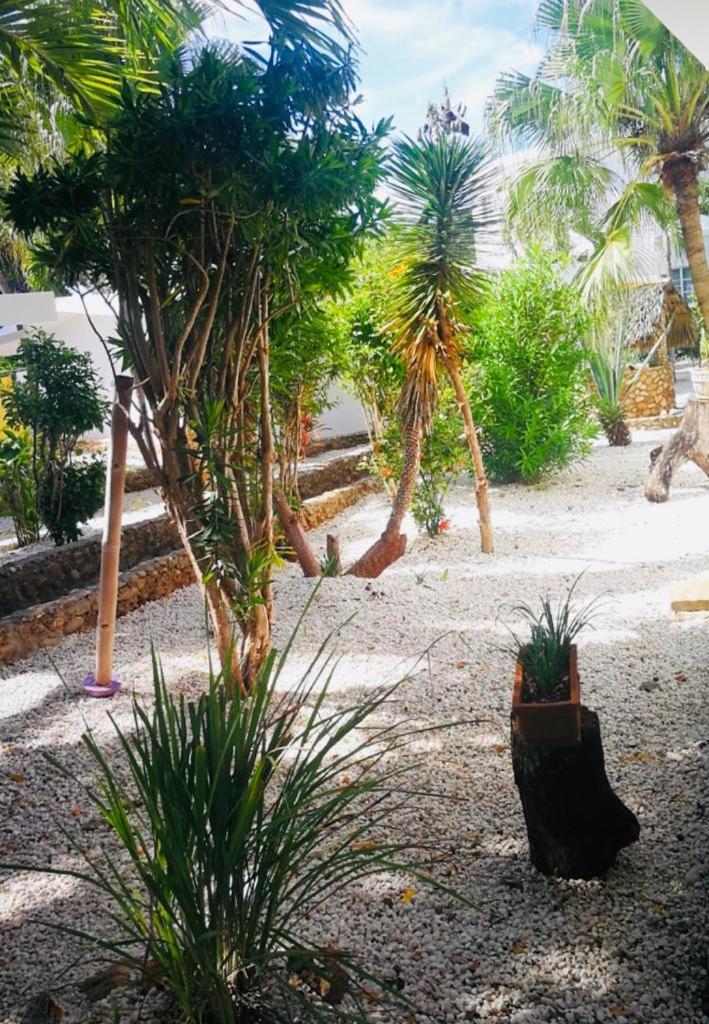 Hotel Casa Blanca Eco