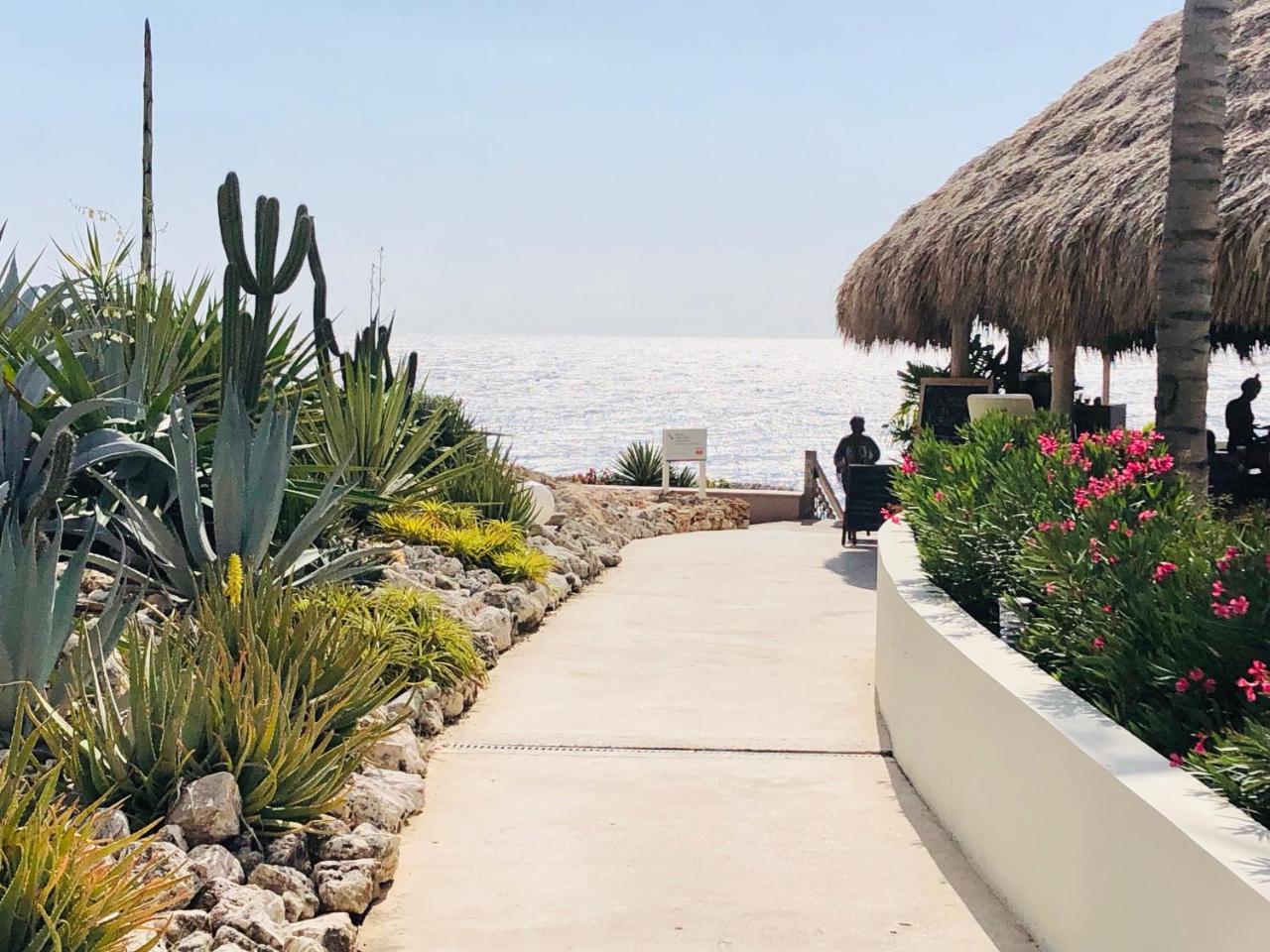 Villacasabella Ocean View-private Pool-up To 12 Guests