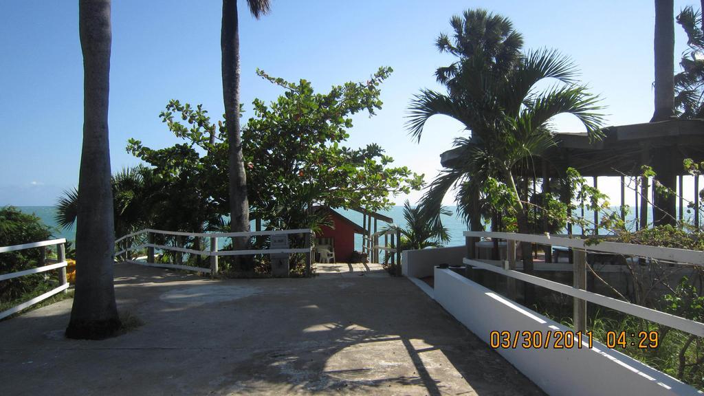 Treasure Beach Hotel Hotel
