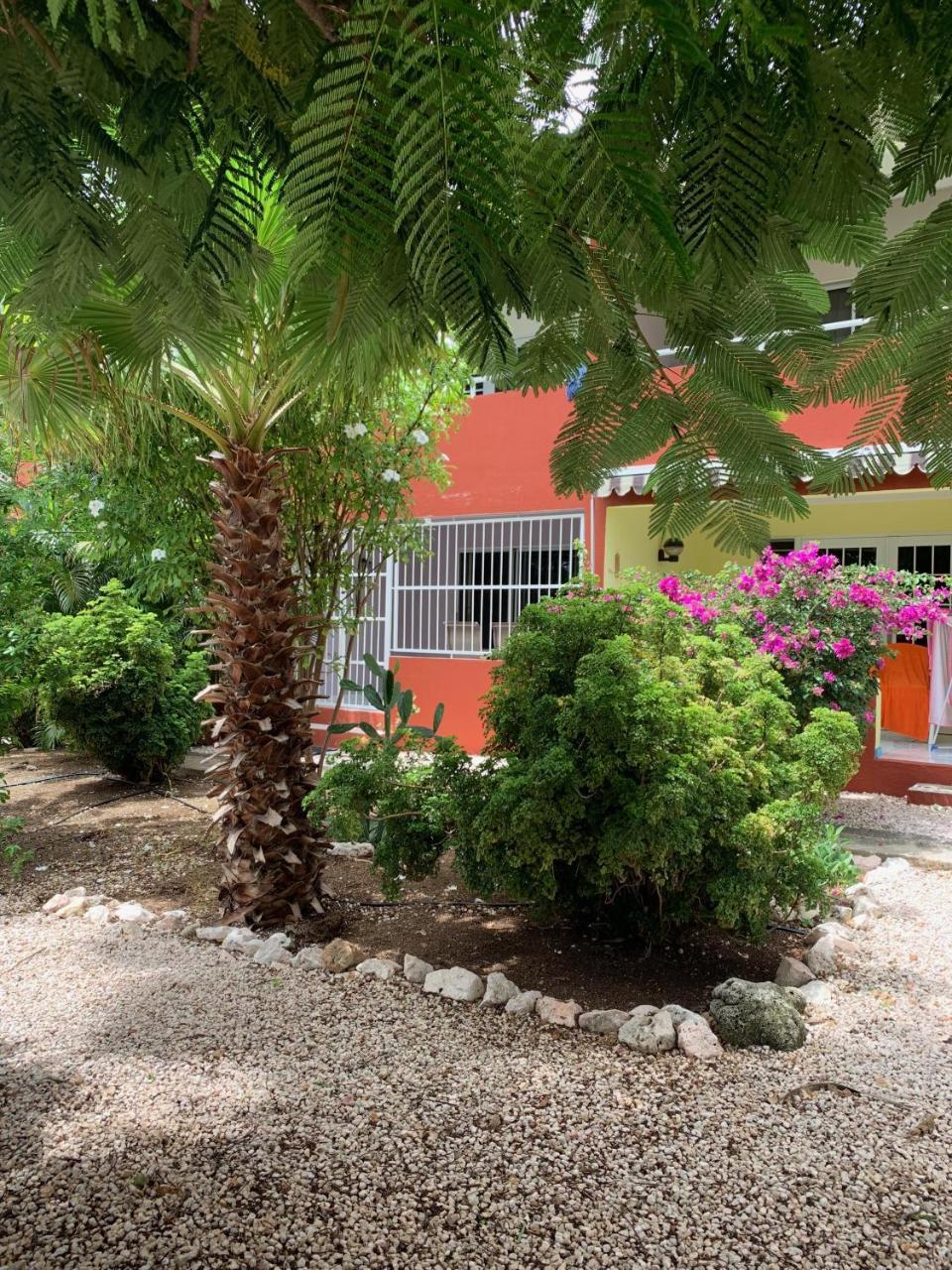 Bon Bini Na Curacao *