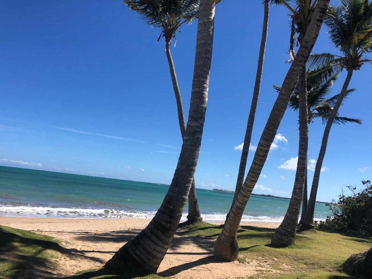 Apartment Berwind Beach Resort 2 Bedroom 2 Bathroom 2 Parking