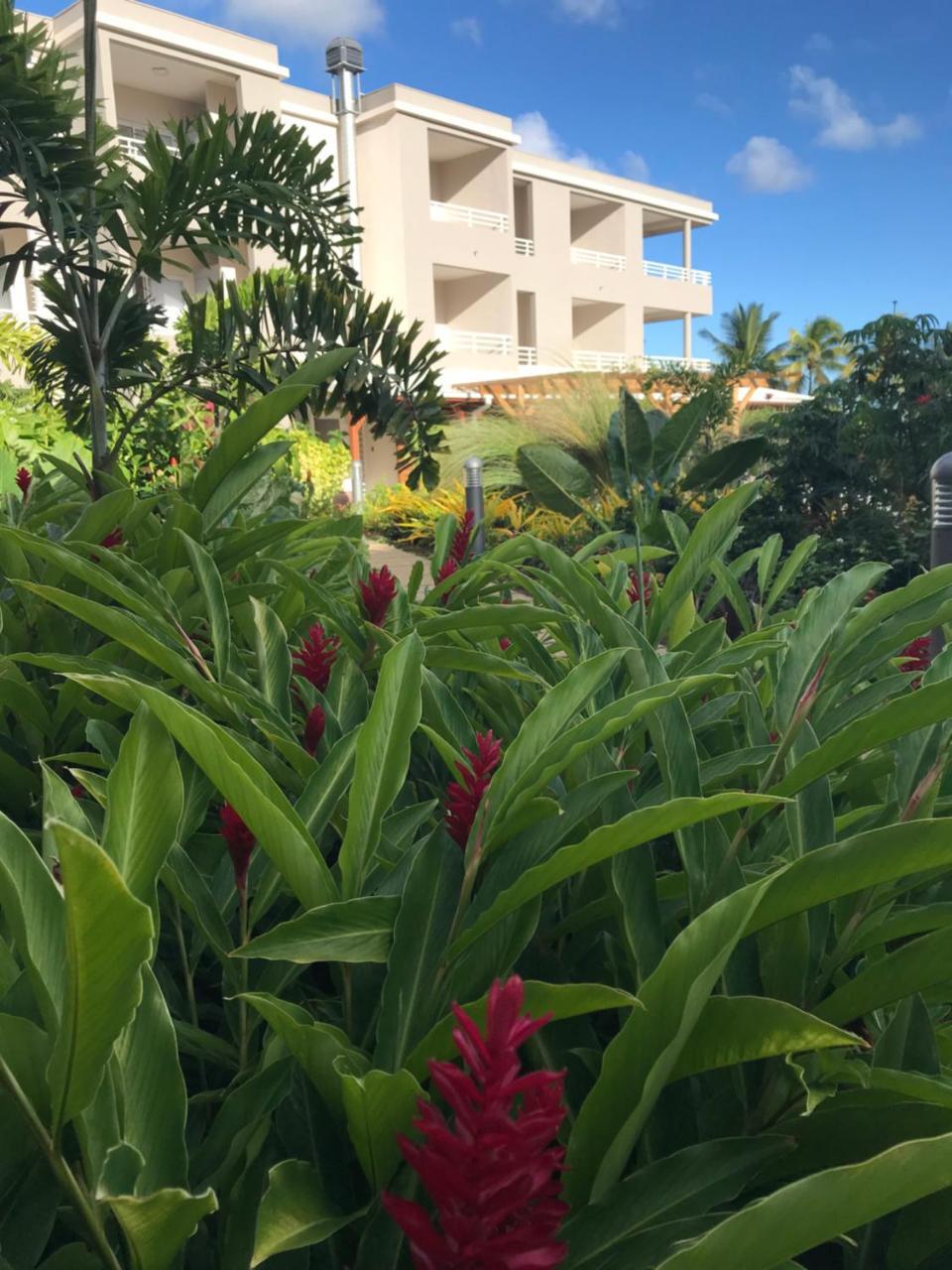 Hotel Diamant Les Bains - Hoteliere