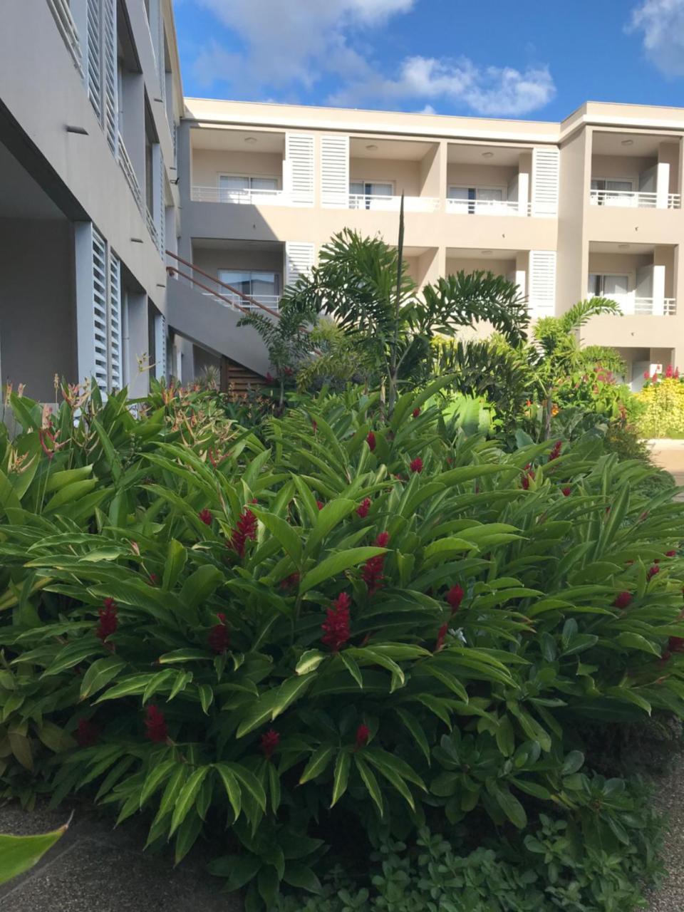 Diamant Les Bains - Hoteliere Hotel