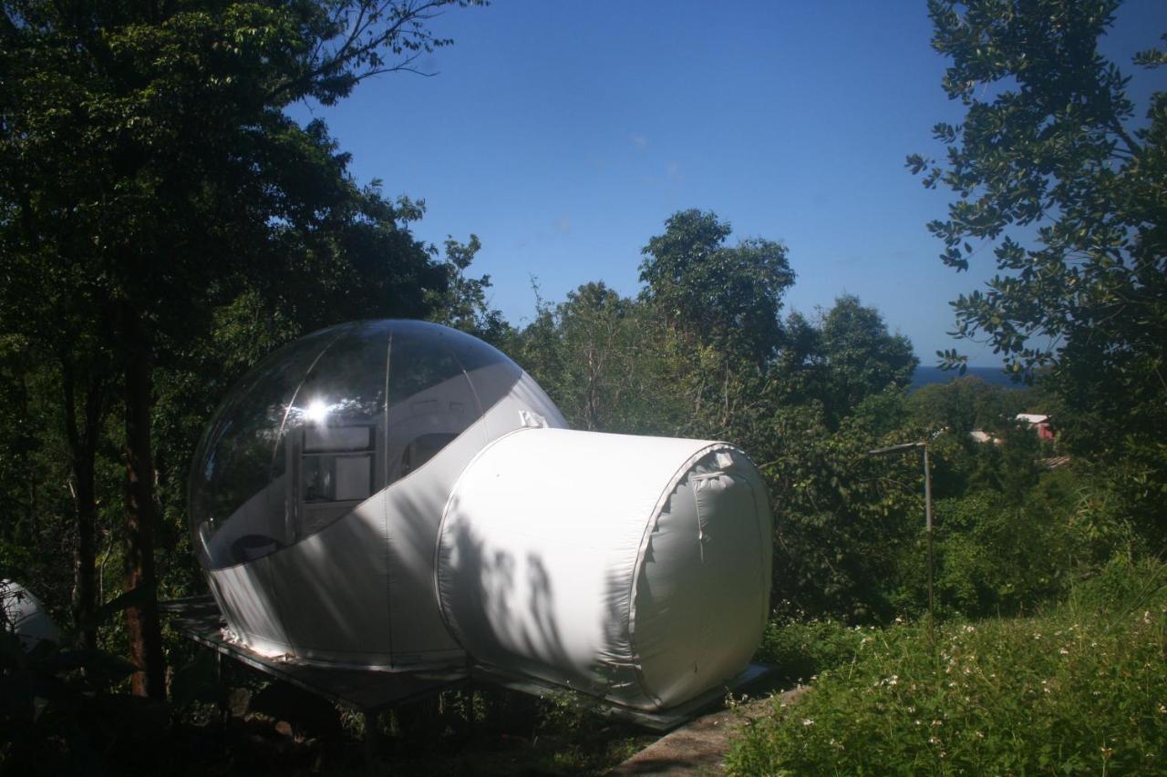 Bb Bed & Breakfast *