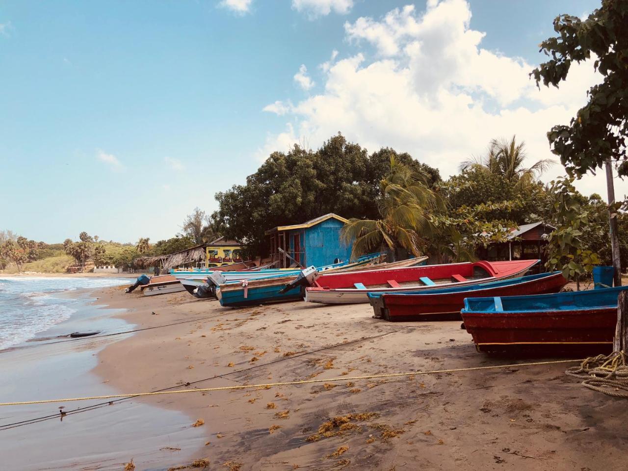 Casa de férias Turtles Nest Treasure Beach