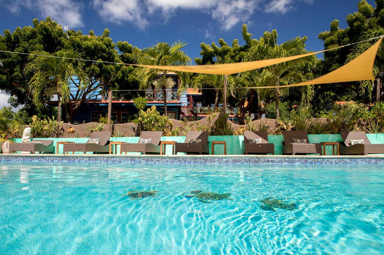 True Blue Bay Resort 4*