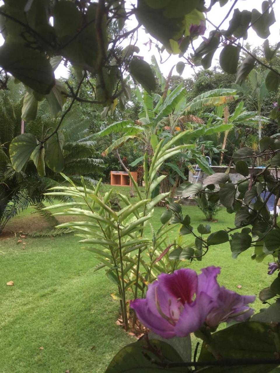 Labellaventura Holiday home Las Galeras