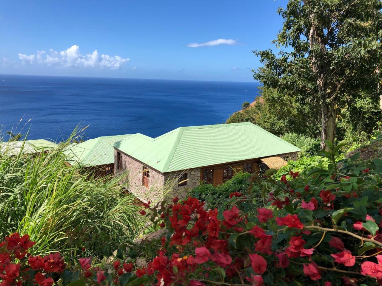 Resort Jungle Bay Dominica