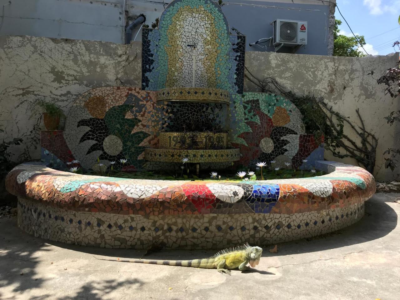 Otro Curacao - Urban Oasis In Otrobanda Willemstad