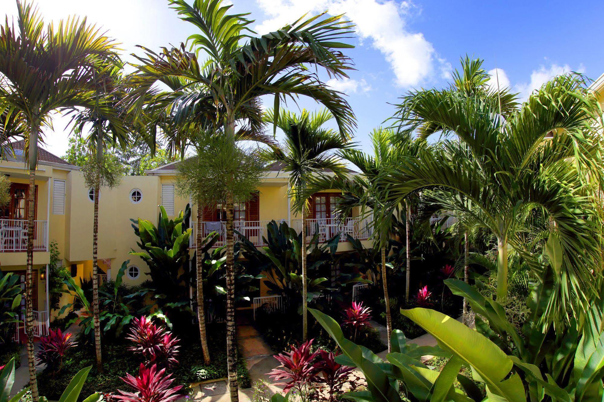 Palms 3* Negril