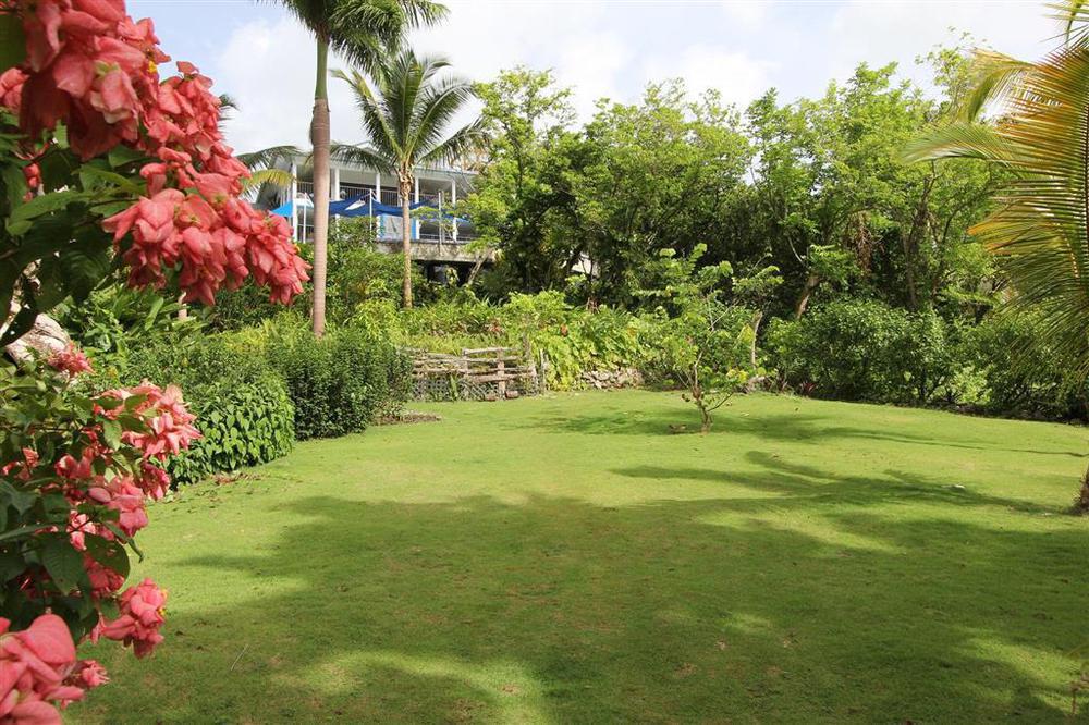 Hotel Mockingbird Hill 4*