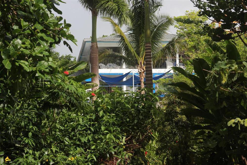 Mockingbird Hill 4* Port Antonio
