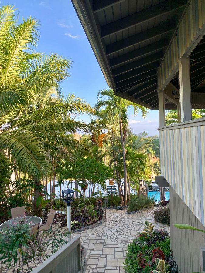 Lazy Parrot Hotel 3*