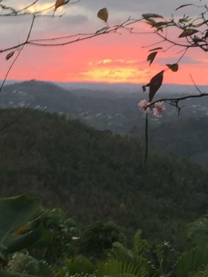 El Pequeno *