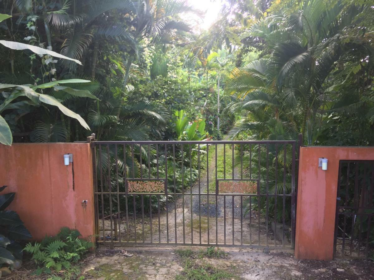 El Pequeno Bed & Breakfast