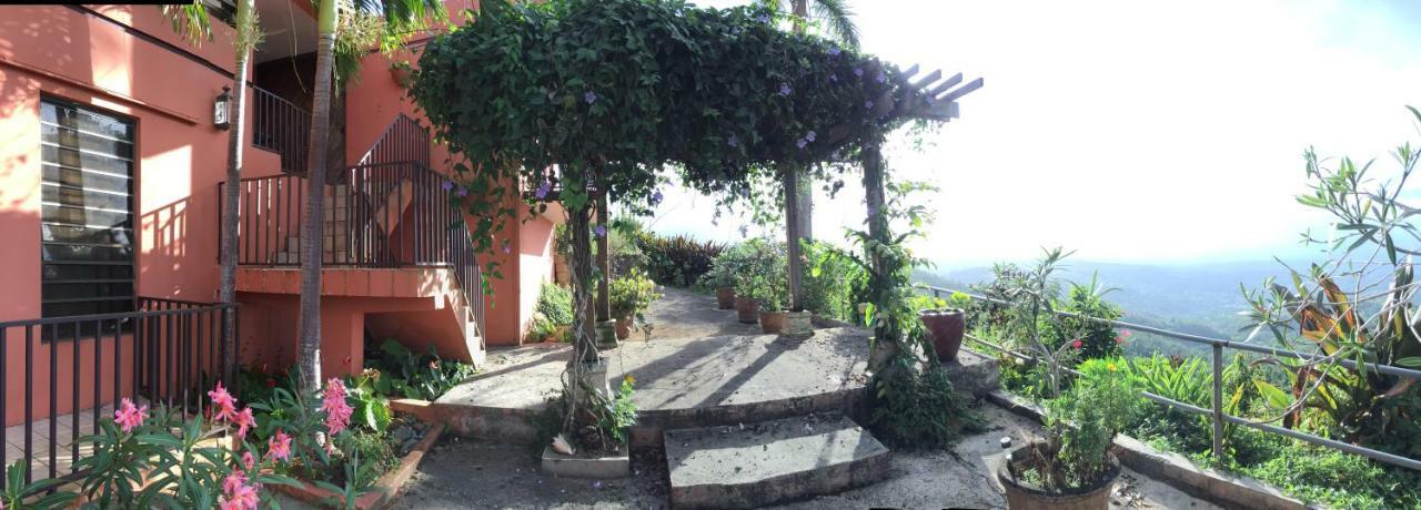 Bed & Breakfast El Pequeno Canovanas