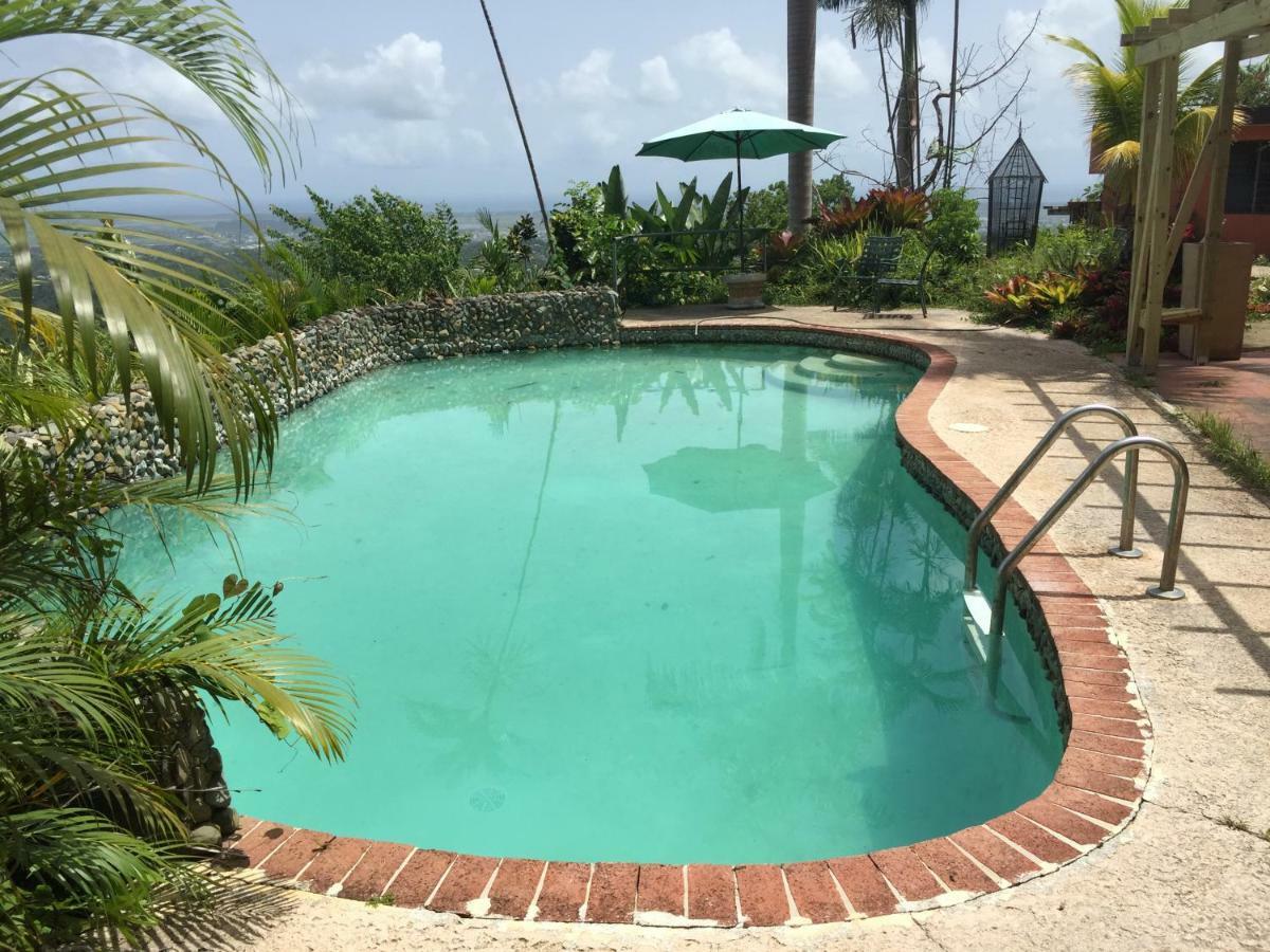 Bed & Breakfast El Pequeno Canovanas