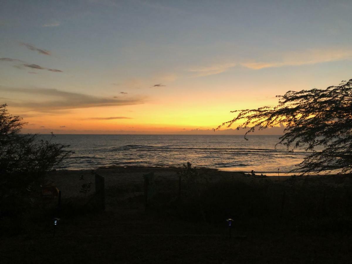 Casa de férias Turtles Nest