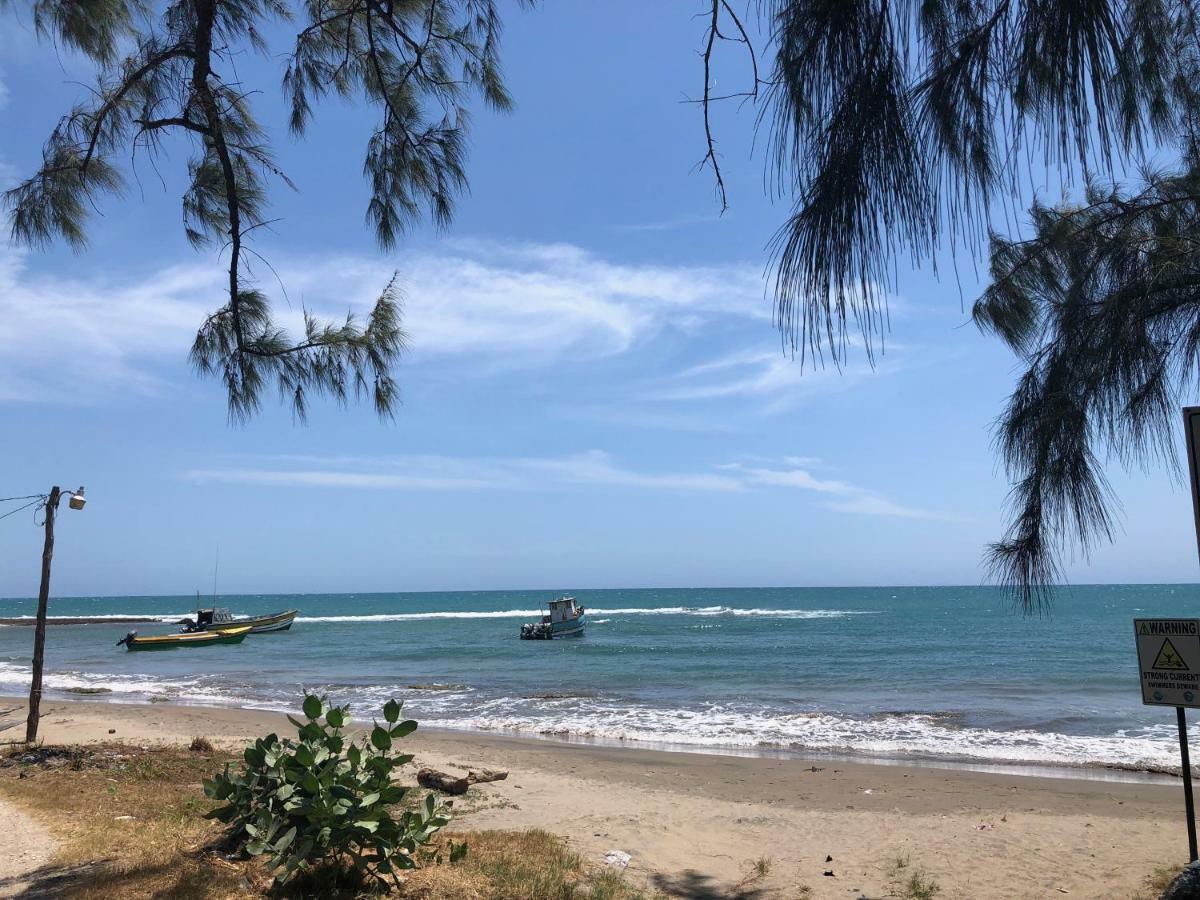 Turtles Nest * Treasure Beach
