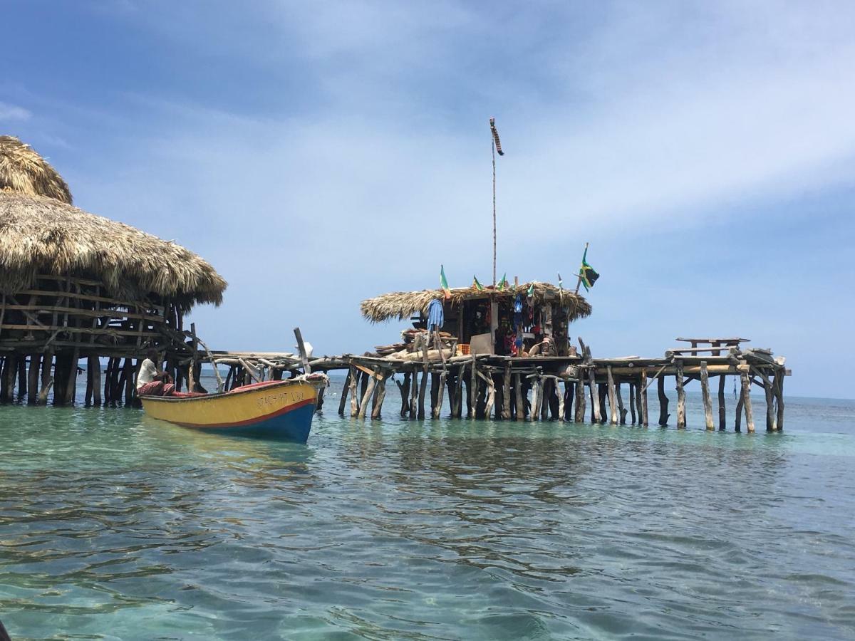 Turtles Nest