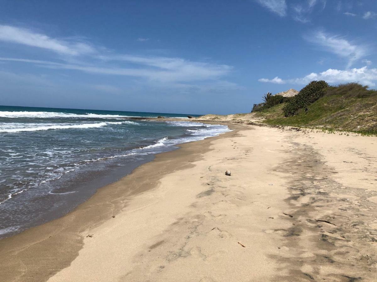 Turtles Nest